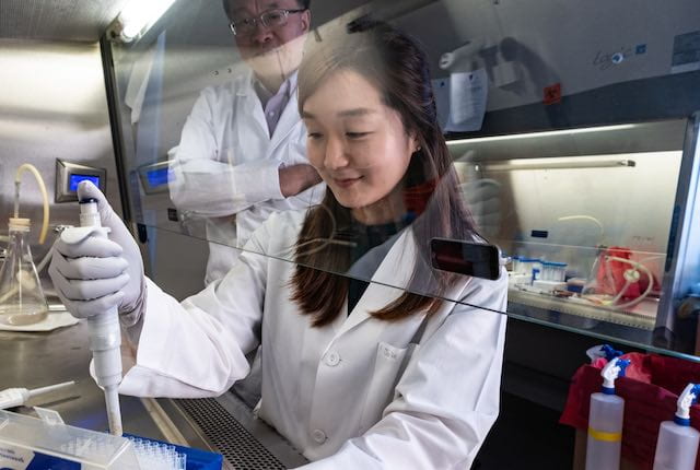 Biomedical graduate program ranks 12th in U.S. News for 2021