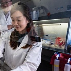 Biomedical graduate program ranks 12th in U.S. News for 2021