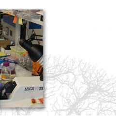 Photo of Ian Kinstlinger in the laboratory