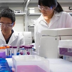 Gang Bao, left, in his laboratory